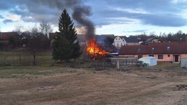 (Bild: BFK WT/ St. Mayer)