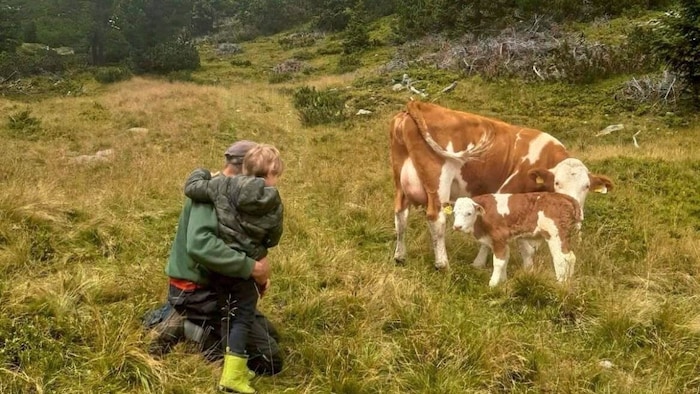 Ein Blick aus glücklichen, vergangenen Tagen: Der Bub mit seinem Papa bei ihren Kühen auf der ...