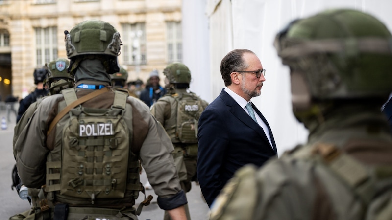 Schallenberg bei der Münchner Sicherheitskonferenz (Bild: APA/BMEIA/MICHAEL GRUBER)