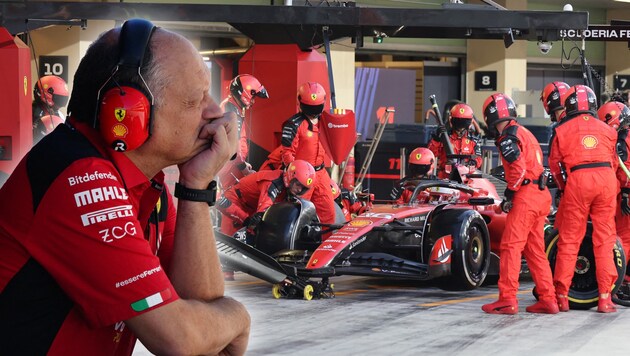 Das wird Teamchef Vasseur wohl kaum gefallen: Ferrari versemmelt erneut den Boxenstop. (Bild: APA/AFP/POOL/Shawn Thew/Ali HAIDER )