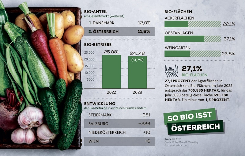 So bio isst Österreich (Bild: Krone Kreativ/stock.adobe.com)