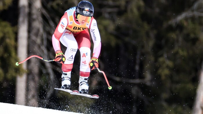 Stephanie Venier