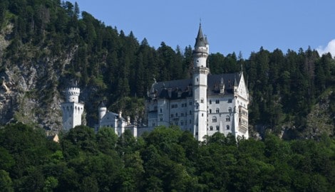 Auf Schloss Neuschwanstein sind keine Hunde erlaubt.