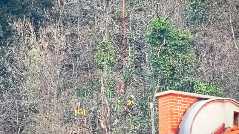 Workers pull the rotten trunks from the slope. (Bild: Sepp Pail)