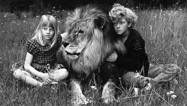 Jodie Foster und Johnny Whitaker in „Flucht in die Wildnis“