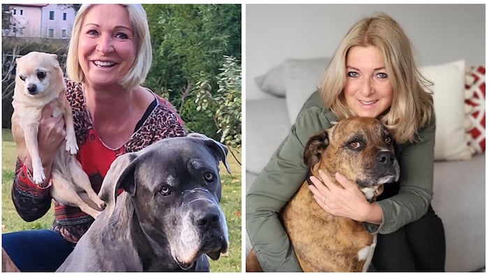 Das engagierte Team in der Steiermark hat ein großes Herz für Tiere. 
