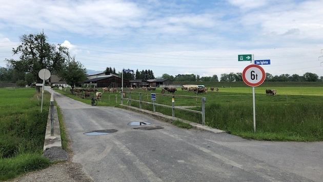 Noch ist von der geplanten Aushubdeponie im Altacher Sauwinkel nichts zu sehen. (Bild: BürgerListe Altach)