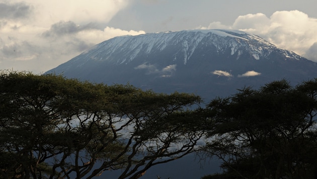 Die Eisfläche am Kilimandscharo (Bild) ist von 11,4 Quadratkilometern im Jahr 1900 auf 0,98 Quadratkilometer zwischen 2021 und 2022 zurückgegangen. (Bild: APA/AFP/Roberto Schmidt)