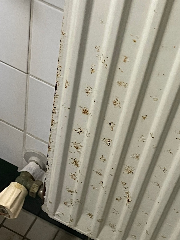 Viele Mannschaften, die in Bischofshofen zu Gast waren, haben in der Vergangenheit bereits ...