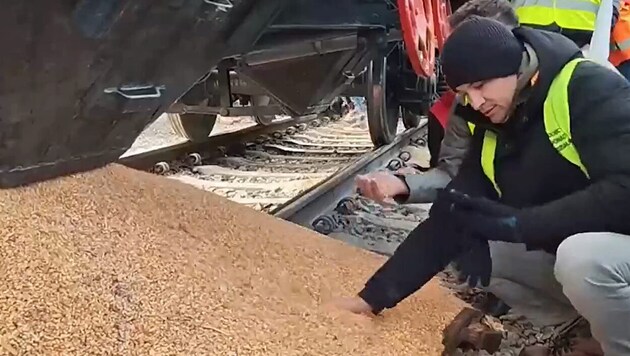 Poláci vysypali obilí z ukrajinských železničních vagonů: video incidentu koluje po sociálních sítích. (Bild: Screenshot/Twitter.com)