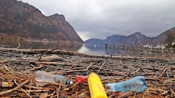 In dieser Bucht des Traunsees schwimmen seit elf Jahren immer wieder Plastikflaschen, Dosen, Autoreifen und auch tote Tiere. (Bild: Hörmandinger Reinhard)