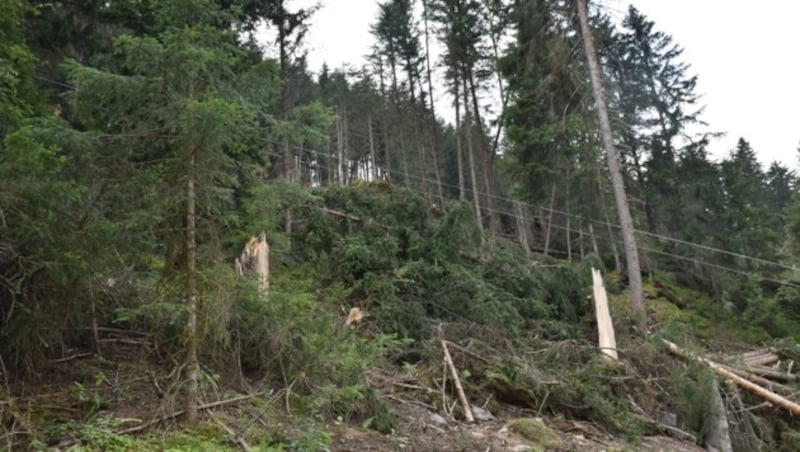 Drei Viertel der Sturmschäden des vergangenen Sommers sind bereits aufgearbeitet. (Bild: Land Tirol)