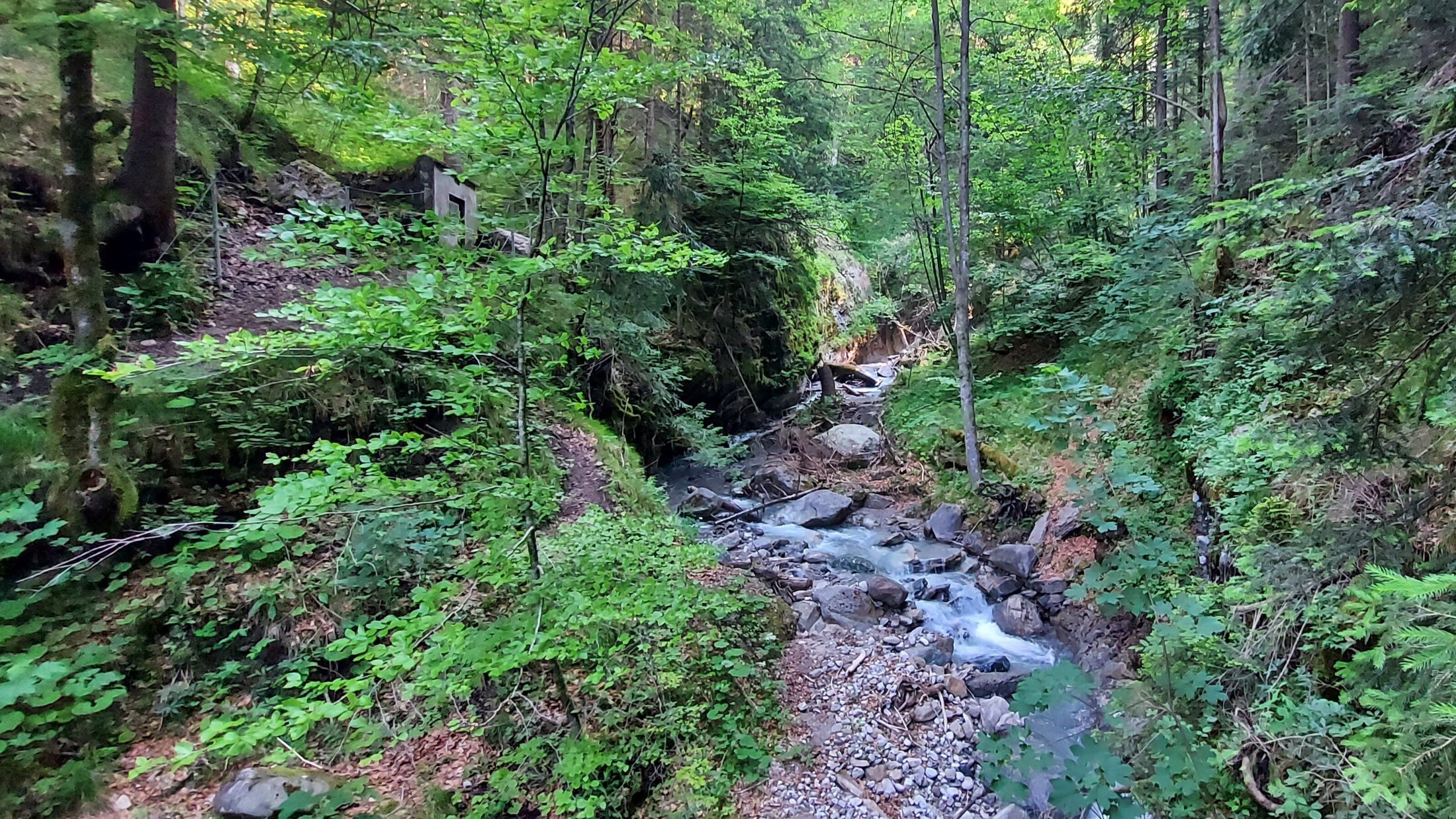 Yasaya göre, tehlike altındaki tüm ekosistemlerin 2050 yılına kadar restore edilmesi gerekiyor. (Bild: Hubert Rauth)
