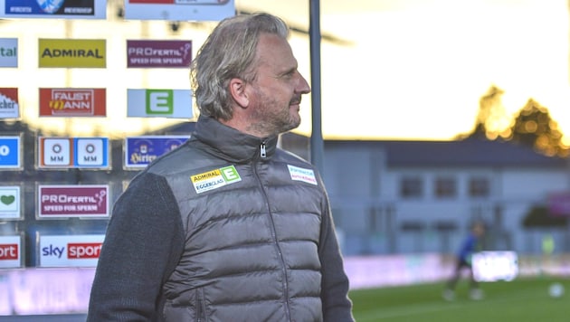 Hartberg coach Markus Schopp (Bild: GEPA pictures)