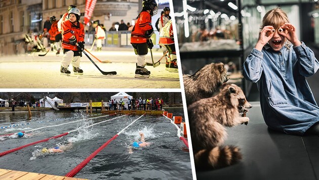 Ob Eislaufen, Eisschwimmen oder ein Museumsbesuch - die Ferien werden nicht fad. (Bild: Robert Maybach, ÖWR Goisern, Markus Wenze, Krone KREATIV,)