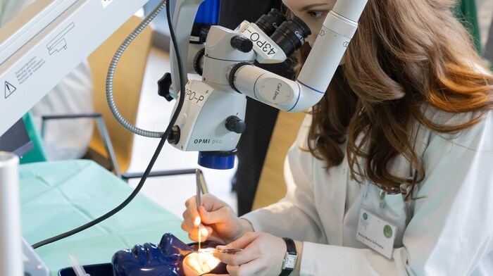 Studenten demonstrieren, wie sie mit dem Modellen chriurgische Techniken erlernen.