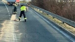 Ein Lkw verlor hunderte Liter Diesel auf der A10 (Symbolbild) (Bild: HFW Villach)