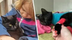 „Puma“ begleitet junge Patienten im Zentrum für Reittherapie im Tullnerfeld (Bild links). Nun ...