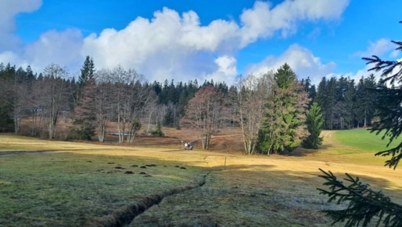 Die Wanderung führt schließlich in ein beeindruckendes Hochmoor. (Bild: Bergauer)