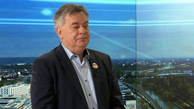Vice-Chancellor Werner Kogler (The Greens). (Bild: krone.tv )