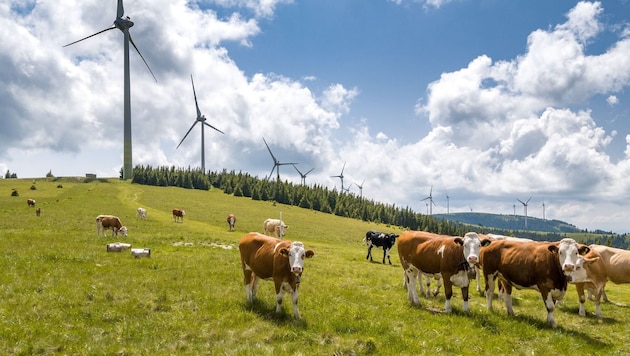 The largest wind farm in Styria is located on the Pretul. (Bild: ÖBf-Archiv/R. Leitner)