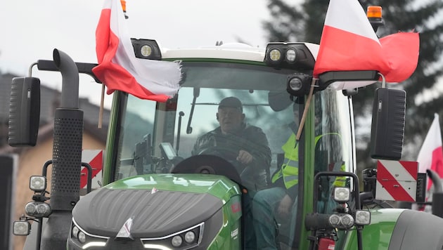 Protesty rolników skierowane są przeciwko polityce rolnej UE, ale także przeciwko importowi tanich produktów rolnych z Ukrainy. (Bild: AP)