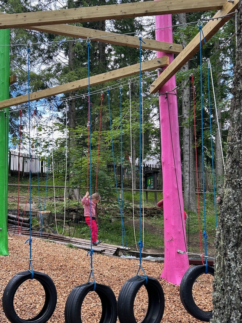 Der Klettergarten auf der Bürgeralpe wird zur Winterattraktion  (Bild: Mariazeller Bürgeralpe)