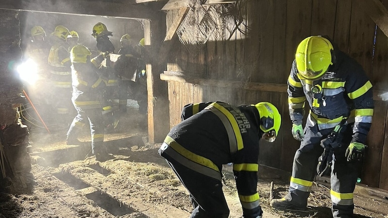 Den Einsatzkräften der FF Vassach und der Hauptfeuerwache Villach ist es gelungen, den Brand zu löschen. (Bild: Hauptfeuerwache Villach)