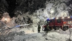 Die FF Matzelsdorf musste einige umgestürzte Bäume beseitigen. (Bild: FF Matzelsdorf)