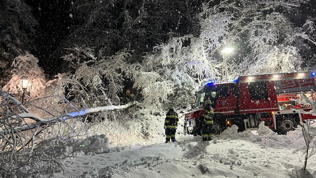 The Matzelsdorf fire brigade had to clear some fallen trees. (Bild: FF Matzelsdorf)