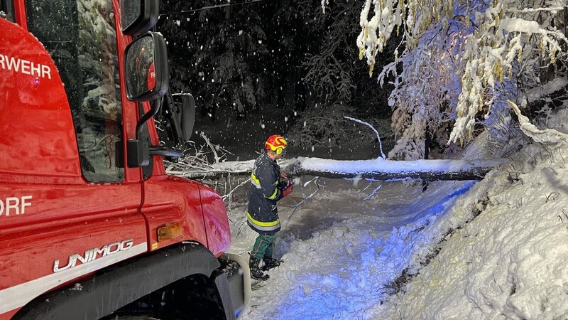 (Bild: FF Matzelsdorf)