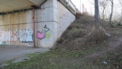 Unter dieser Brücke wurde der Verdächtige entdeckt. (Bild: Peter Tomschi)