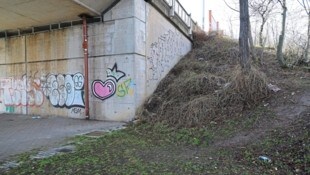 Unter dieser Brücke wurde der Verdächtige entdeckt. (Bild: Peter Tomschi)