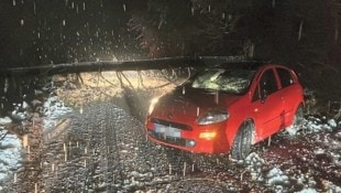 Ein 20 Meter hoher Baum krachte in der Nacht auf Samstag auf das Auto einer jungen Oberkärntnerin. (Bild: zVg)