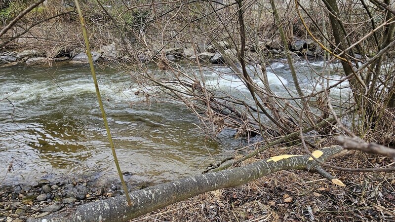 Offenbar wollte der Wolfsberger durch die Lavant vor den Beamten flüchten. (Bild: Georg Bachhiesl)