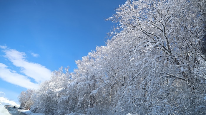 A hétvégén ezeket a fákat Innsbruck környékén még mindig hó borította.