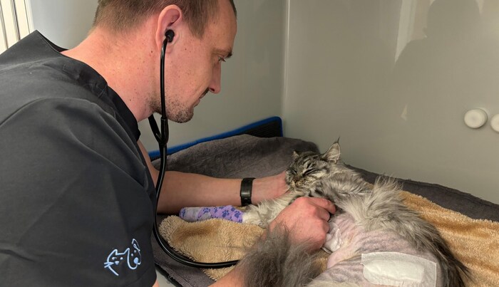 She is recovering under the observation of the vet.