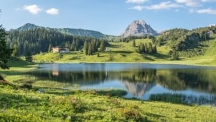 Klimaschutz: Ein Gebot der Stunde, um unsere Natur zu schützen. Doch warum tun wir nicht mehr?