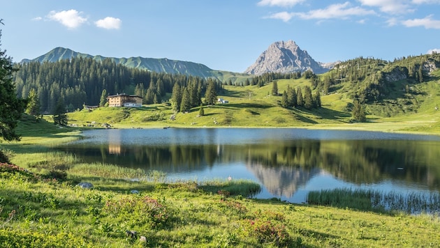 Klimaschutz: Ein Gebot der Stunde, um unsere Natur zu schützen. Doch warum tun wir nicht mehr? (Bild: Michael Meusburger /Bregenzerwald Tourismus)