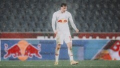 Jubel soll‘s bei Reischl und Co. auch gegen Nantes geben. (Bild: Andreas Schaad - FC Liefering)