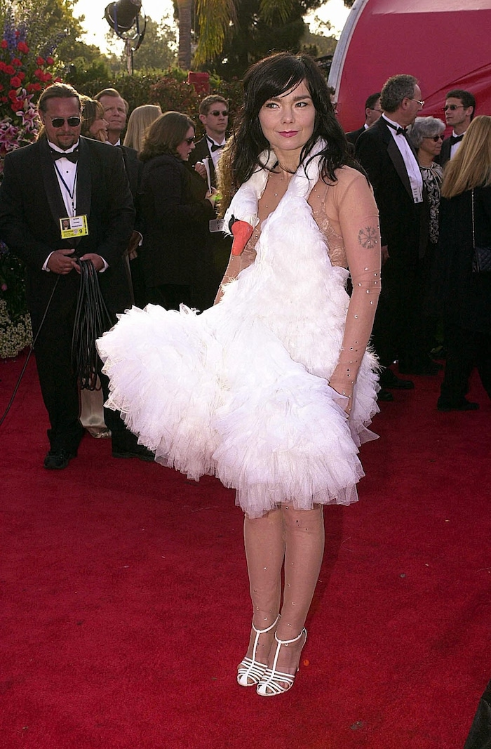 Sängerin Björk sorgte in einem Schwanen-Kleid für Aufruhr. 