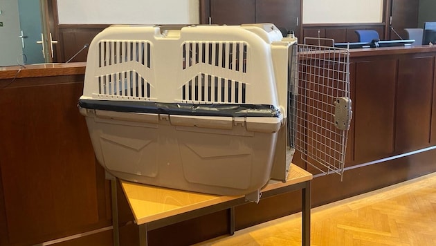 The dog crate, in which the boy often had to cower for hours, in the courtroom in Krems (Lower Austria) (Bild: zVg)