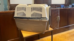Die Hundebox, in der der Bub oft stundenlang kauern musste, im Gerichtssaal in Krems (NÖ) (Bild: zVg)