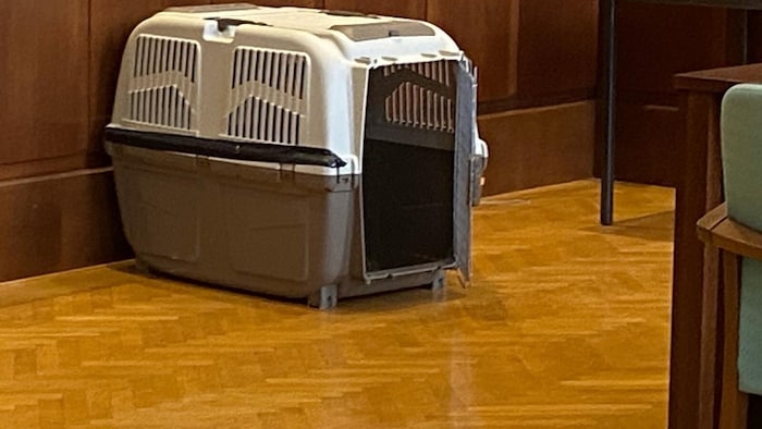 The dog crate was set up in the courtroom as an illustration.