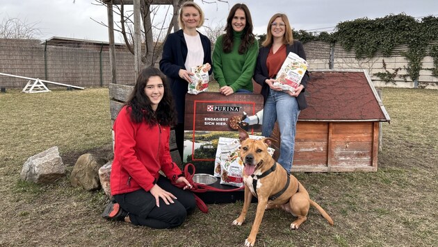 "Shila" with her dog trainer Tanja. Animal Corner boss Maggie Entenfellner and Elena Grishko (back left) and Katharina Krenn (right) from Nestlé Purina visited the dog at TierQuarTier Vienna. (Bild: Zwickl)