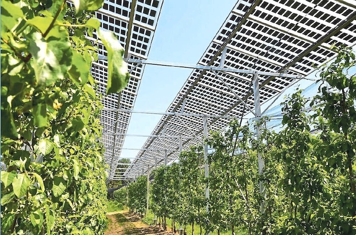 Ein Musterprojekt in NÖ steht durch das Voting nun auf Warteposititon: Photovoltaik-Elemente als ...