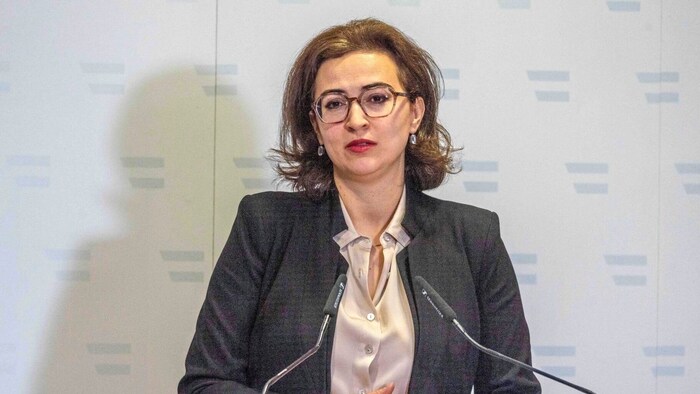 Justizministerin Alma Zadić muss die Reform umsetzen.