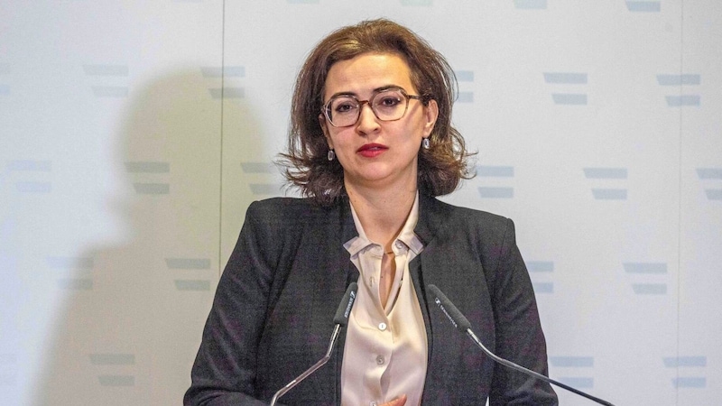 Justizministerin Alma Zadić muss die Reform umsetzen. (Bild: SEPA.Media/Michael Indra)