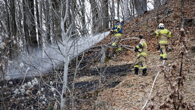 Zapalił się kawałek lasu na Randersbergu w Großgmain. (Bild: Tschepp Markus)