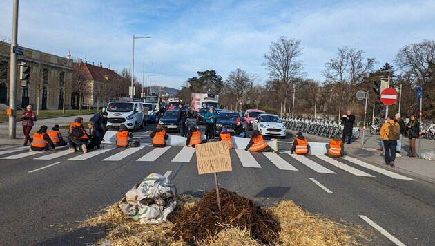 Together with a pile of dung, which according to activists is supposed to represent Austria's climate policy, the Last Generation paralyzed traffic in front of Schönbrunn Palace on Tuesday. (Bild: Letzte Generation AT)